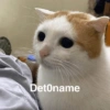 Detoname