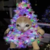 ☃️ A little bit Christmassy ☃️ 6