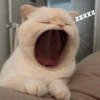 ZZZZZ