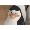 Pinguim  14