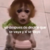 yo despues de decirle que se vaya y si se vayo