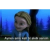 Aynen amk keli bi akıllı sensin