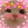 Cute baby cat🥺 15