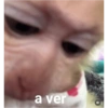 Monitos  18