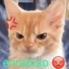 L enrabrao