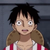 Luffy 28