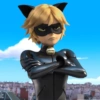Cat noir 17