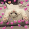 Cute baby cat🥺 6
