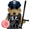 POLICE SJ