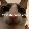 Ya viste como eres BikerCrazy