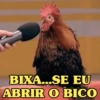 GALINHAS DEBOCHADAS 🐔 8