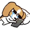 Dog. | @ocenferios  Haki. 9