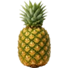Buah / fruit 17