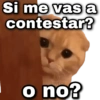 Si me vas a contestar? geysjov o no?