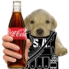 Coca-Cola SJ