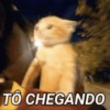 TO CHEGANDO