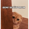 -SENİ SEVİYORUM