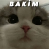 BAKIM