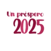 AÑO NUEVO 2025  10