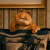 Garfield 5