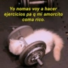 😺•Michi Frases•😺 14