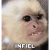 INFIEL