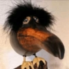 Big-Beak Gremlin
