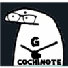 G COCHINOTE