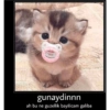 Günaydın-iyi geceler 13