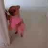 Comentarios de Tiktok pt.2 😏 5