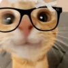 Gatitos🩷 15