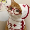 Cat cute  9