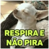 Memes.com 14