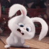 Bunny kelinci 10