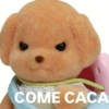 COME CACA