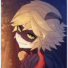 Cat noir 7