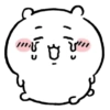 CHIIKAWA 💕 5