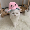 Gatitos🩷 7