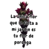 La unica flor que le falta a mi jardin es to flor de poronga