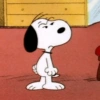 😮‍💨 Reacciones SNOOPY ☕🫐 4 5