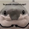 Te puedo chupal el pipi?