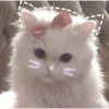 🐾Gatitos Cute🐈💖 9