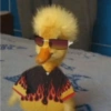 Patinho Fofo Reações 🦆 13