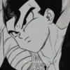 Gohan  5