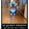 Günaydın-iyi geceler 16