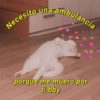 Necesito una ambulancia porque me muero por ti bby
