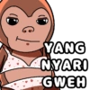 WUT WUT WUT Monkey Meme 9