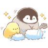 Pollito y pingüino 11