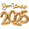🍾 2025 | Feliz Ano Novo 13