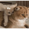 Me You